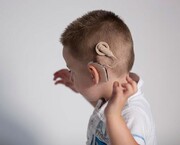 فرصتی دوباره برای شنیدن زندگی | سالانه ۲ هزار حلزون در ایران کاشته می‌شود