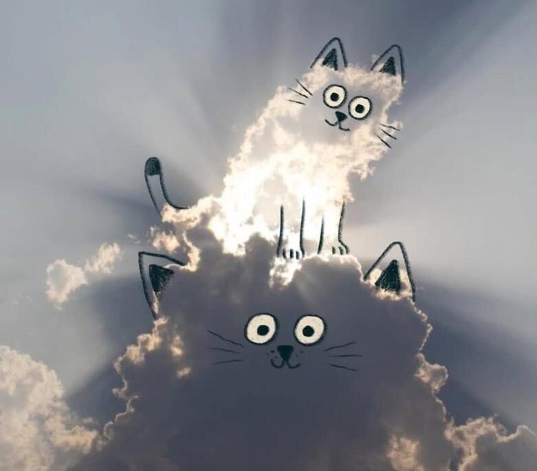 تصویرسازی خلاقانه با ابرها | عکس