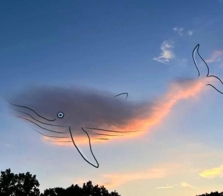 تصویرسازی خلاقانه با ابرها | عکس