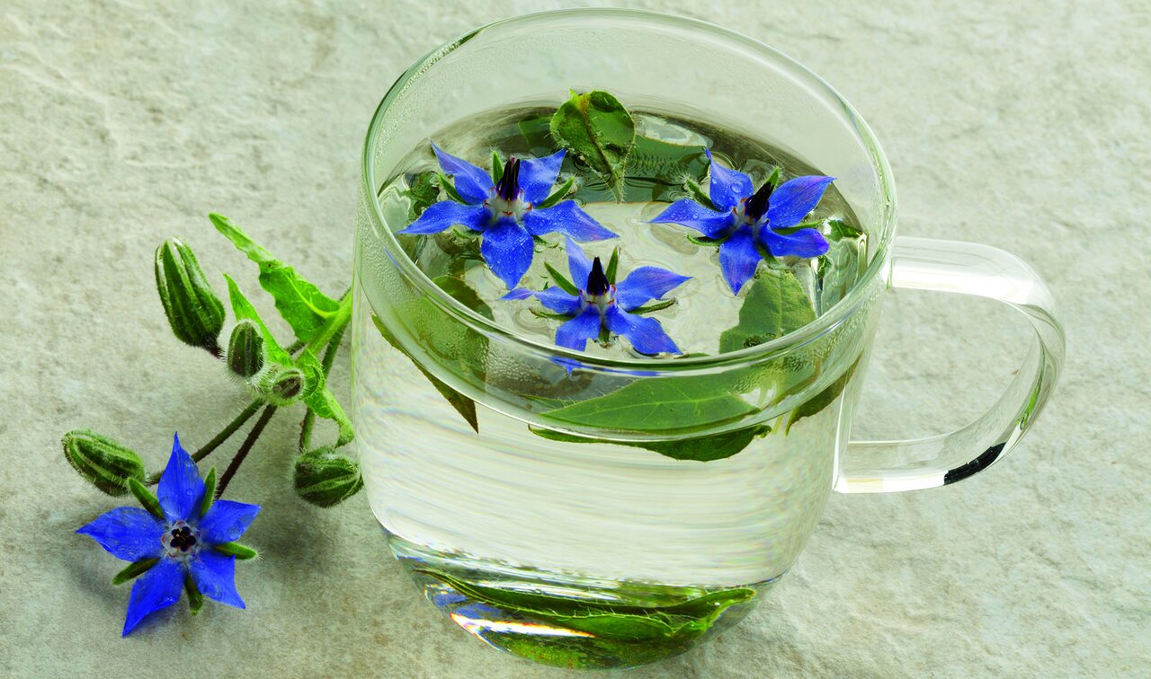 دمنوش های گیاهی خواب آور و آرام بخش را بشناسید