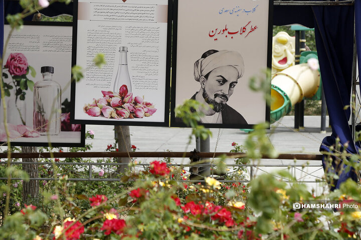 اماده سازی اولین باغ موزه گل محمدی پایتخت