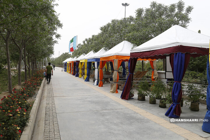 اماده سازی اولین باغ موزه گل محمدی پایتخت