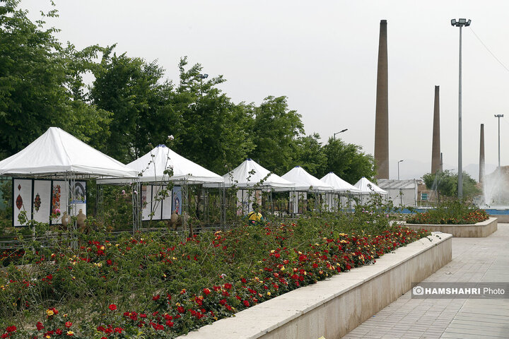 اماده سازی اولین باغ موزه گل محمدی پایتخت