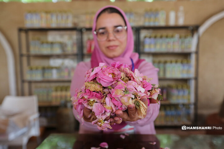 پایتخت میزبان جشنواره گل و گلاب