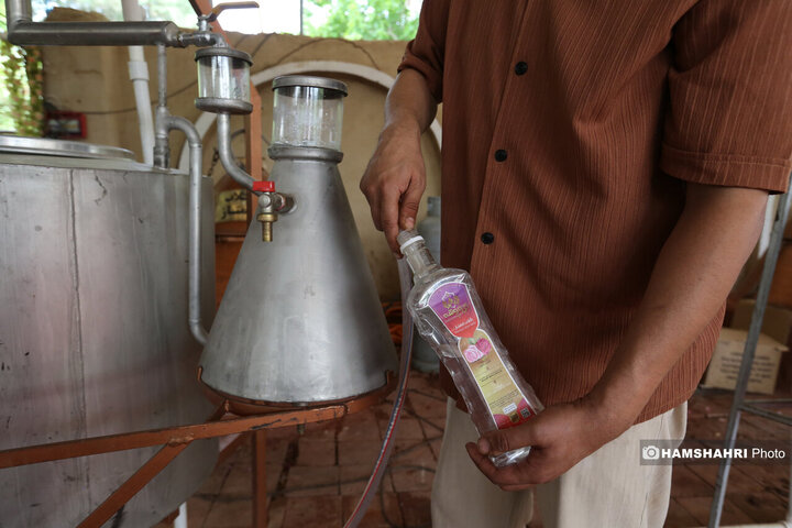 پایتخت میزبان جشنواره گل و گلاب