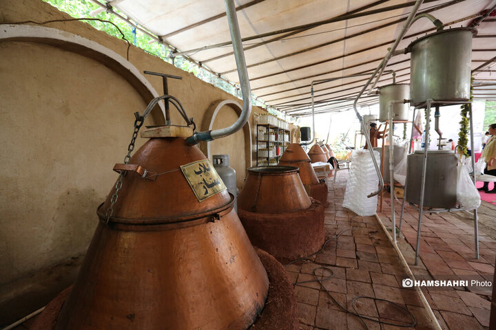 پایتخت میزبان جشنواره گل و گلاب