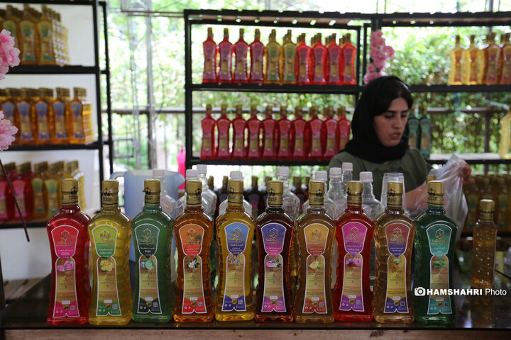 پایتخت میزبان جشنواره گل و گلاب