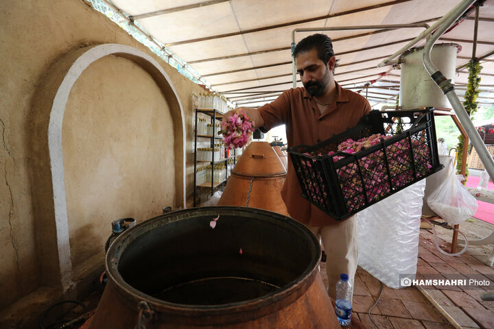 پایتخت میزبان جشنواره گل و گلاب