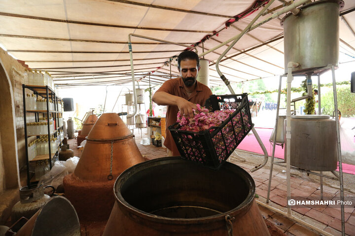 پایتخت میزبان جشنواره گل و گلاب