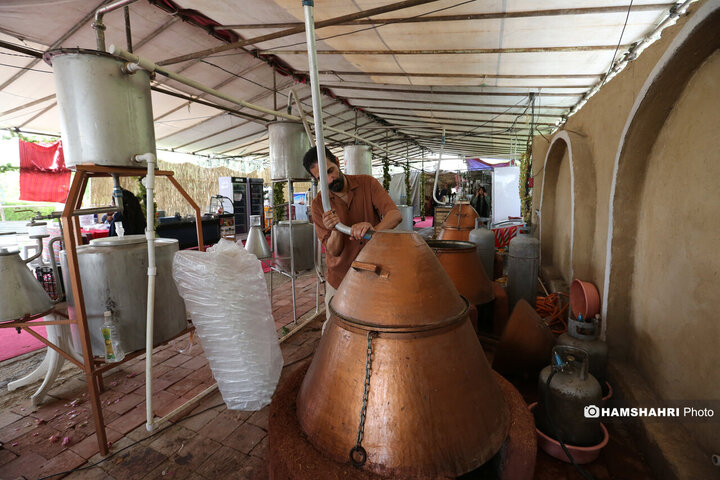 پایتخت میزبان جشنواره گل و گلاب