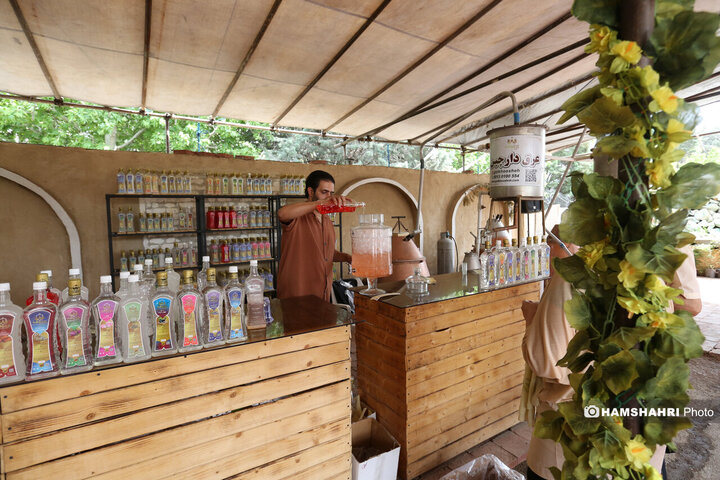 پایتخت میزبان جشنواره گل و گلاب