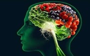 مواد غذایی که خطر ابتلا به آلزایمر را کاهش می‌دهند