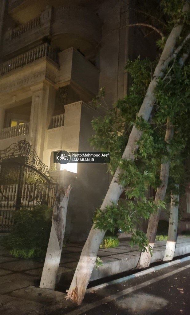 تصاویری جدید از خسارات و ریشه‌کن شدن درختان بر اثر طوفان در تهران