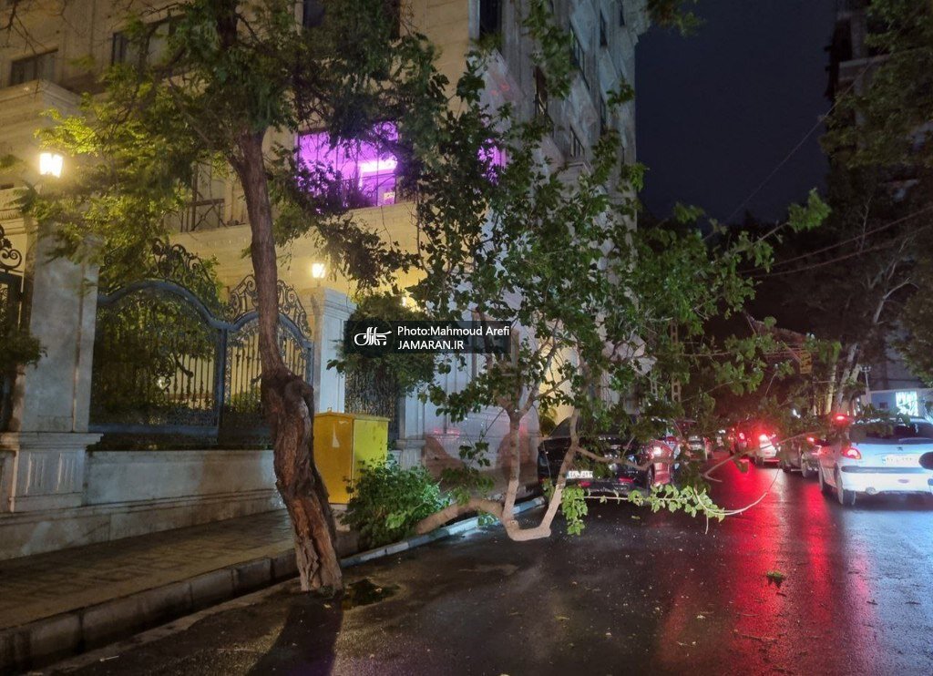 تصاویری جدید از خسارات و ریشه‌کن شدن درختان بر اثر طوفان در تهران