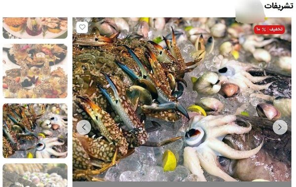 کوسه و هشتپا در منوی تالارهای غیرمجاز؛ اینجا همه چیز آزاد است!