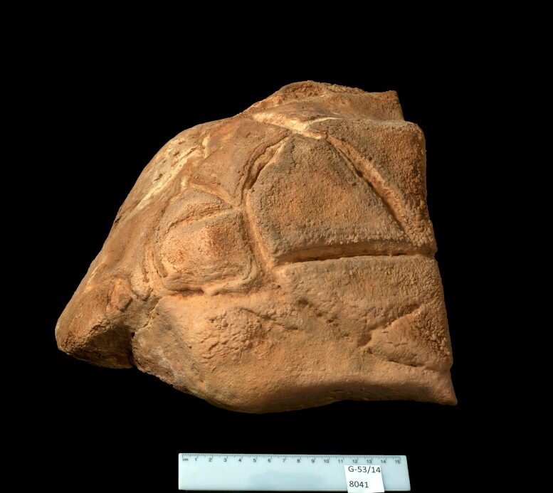 رازهای اعتقادی انسانهای اولیه | اسرار یک لاکپشت ۳۵ هزارساله