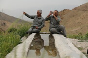 قراولان سرخه حصار | یک روز در کنار محیط‌بانان حیات‌وحش که مهربانند و سختکوش