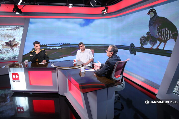 نبرد برای شکار