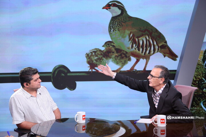 نبرد برای شکار