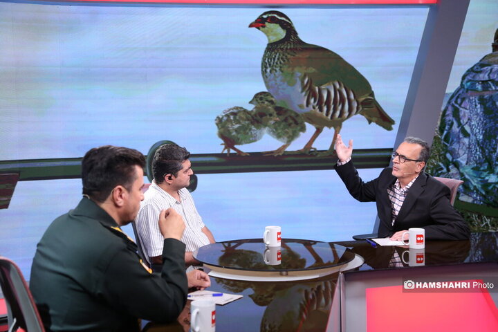 نبرد برای شکار