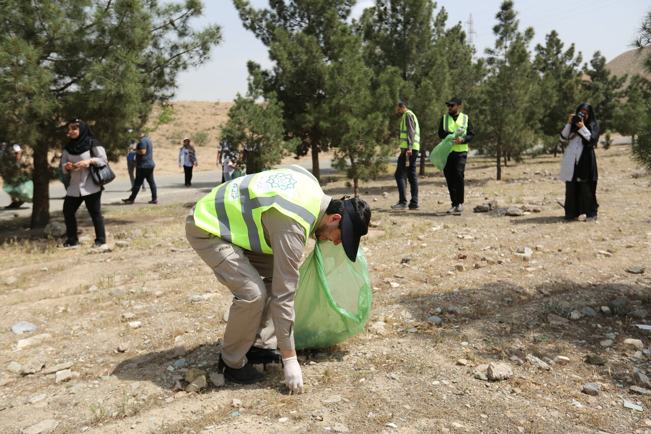 پاکسازی همگانی
