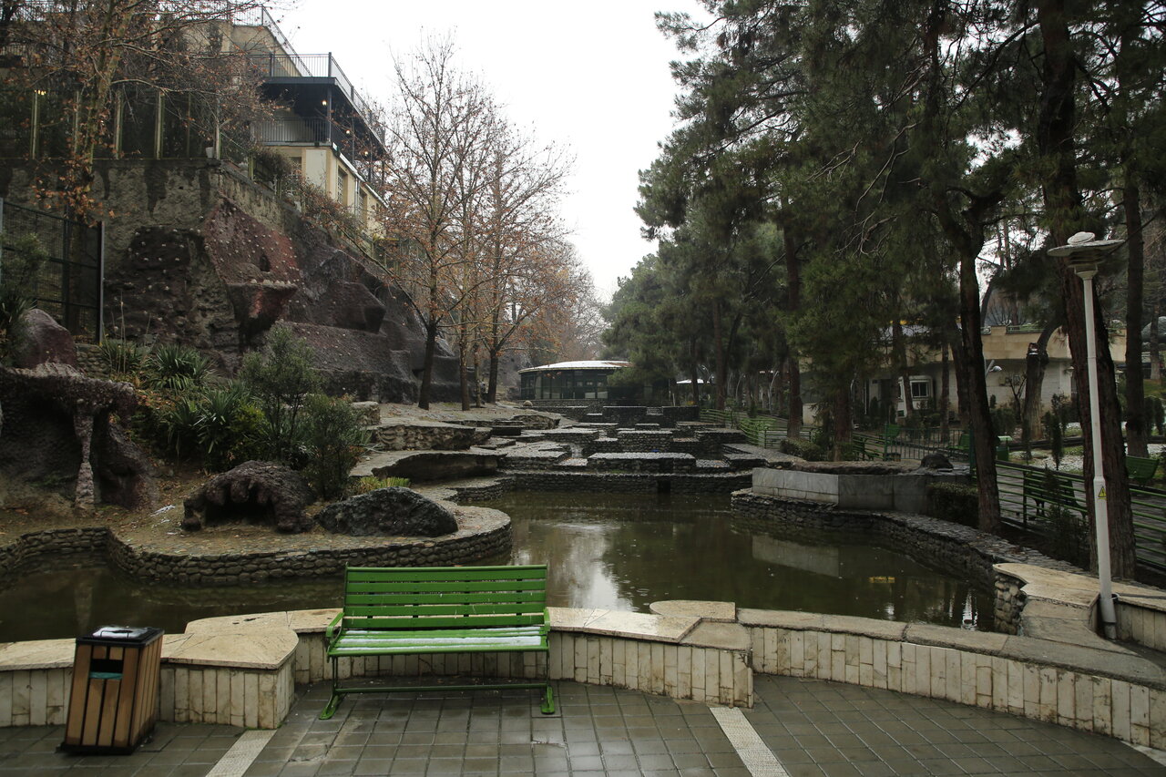 پارک ساعی چطور در حاشیه خیایان ولیعصر شکل گرفت؟