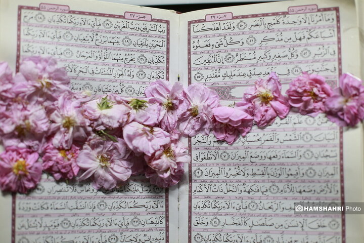 افتتاح اولین گل باغ محمدی پایتخت