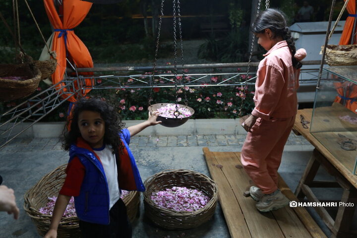 افتتاح اولین گل باغ محمدی پایتخت