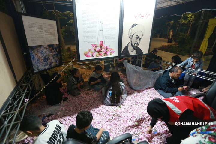 افتتاح اولین گل باغ محمدی پایتخت