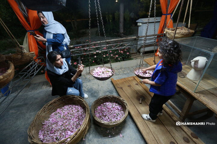 افتتاح اولین گل باغ محمدی پایتخت