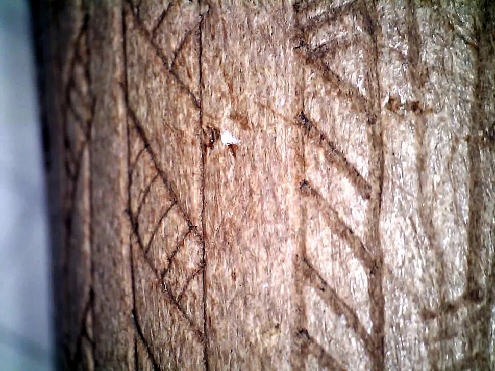 تنوع کاربری ابزارها  در دوران میان‌سنگی