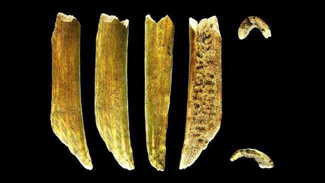 داستان زندگی، شکار و آیینهای ۷۵۰۰ سال پیش | حلقهای گمشده از گذشته انسان