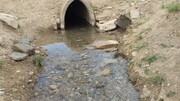 آبیاری درختان بلوار شهرزاد با قنات چالهرز
