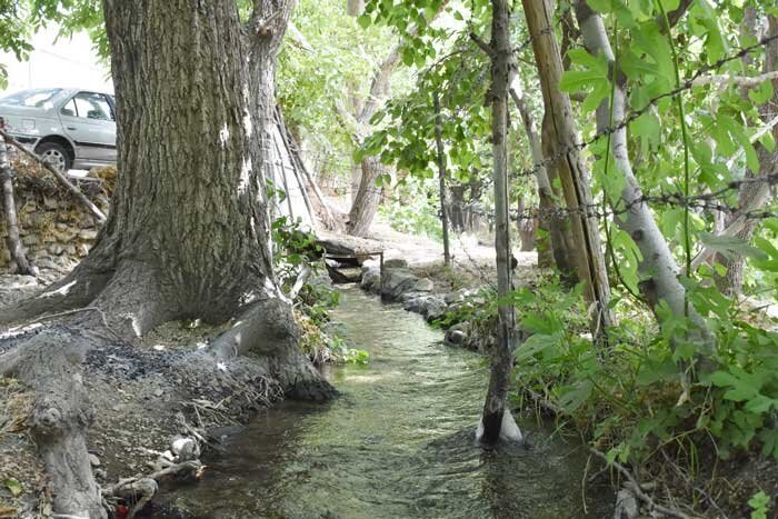 نفت در قنات اشک چشم | این کاریز ۱۵۰سال دارد