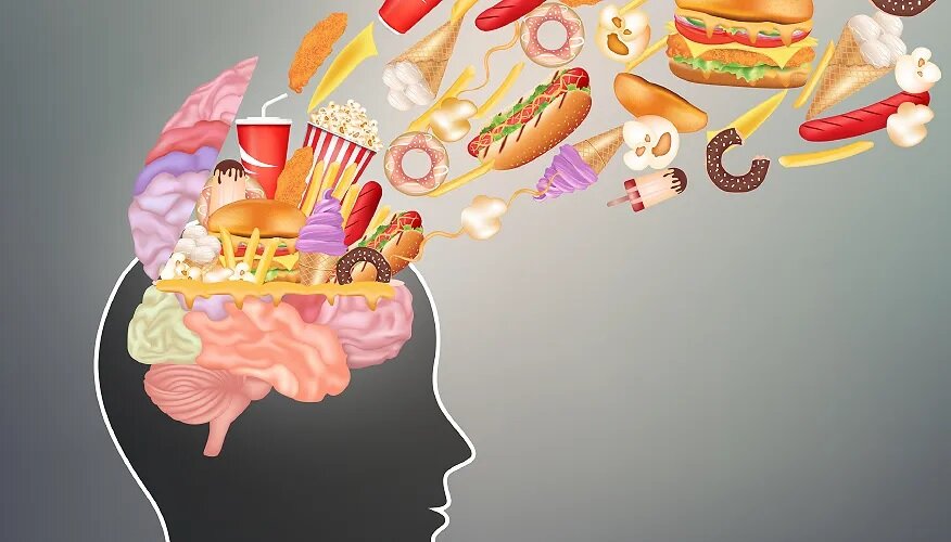 فست فود با مغز ما چه می‌کند؟