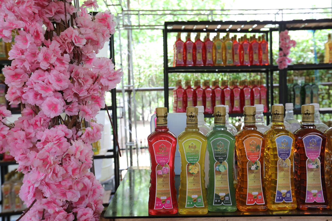 آیین سنتی گلابگیری در باغ ملی گیاهشناسی