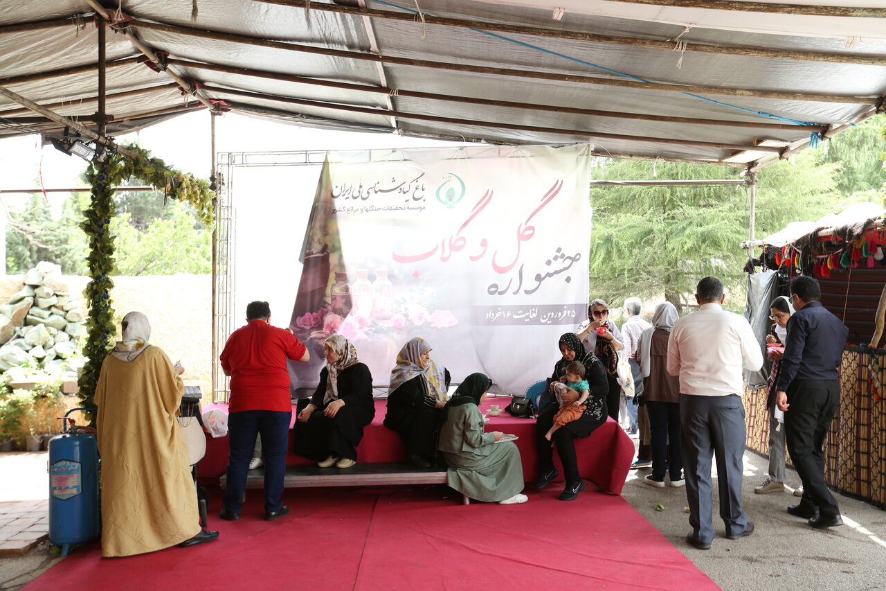 آیین سنتی گلابگیری در باغ ملی گیاهشناسی