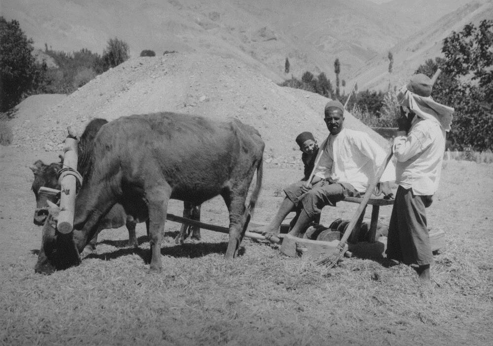 این منطقه از تهران روزگاری دشت گلایل شهر بود