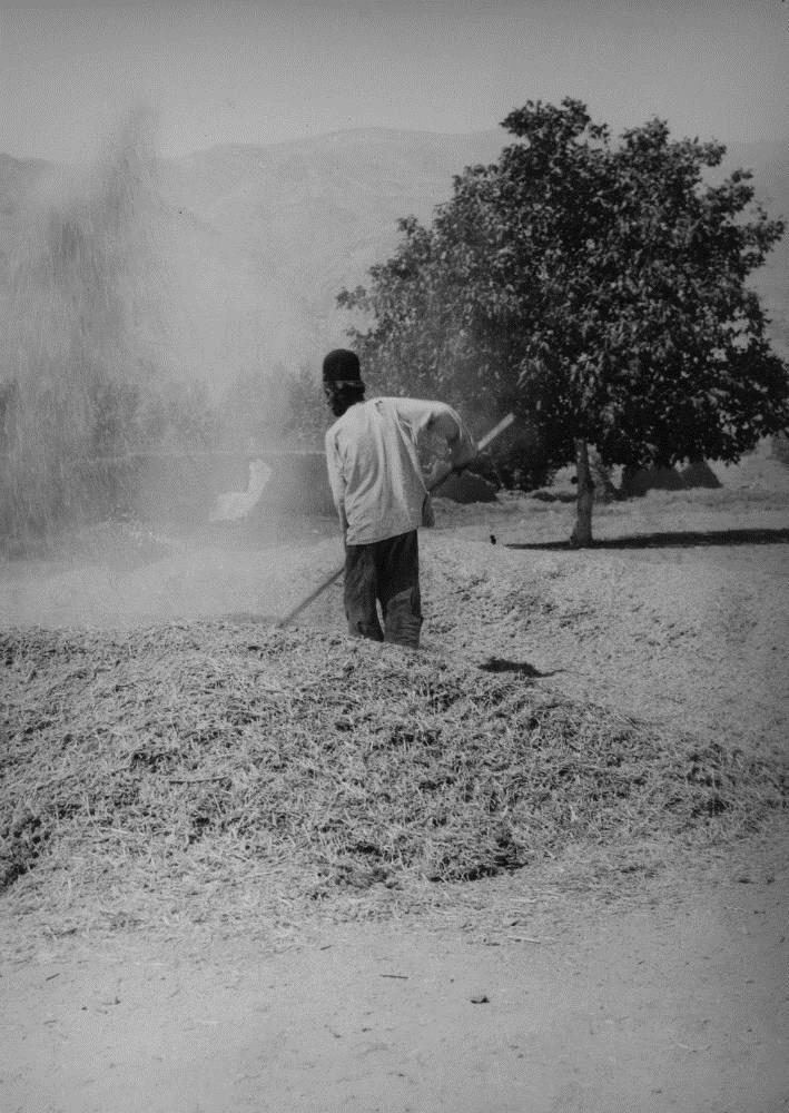 این منطقه از تهران روزگاری دشت گلایل شهر بود