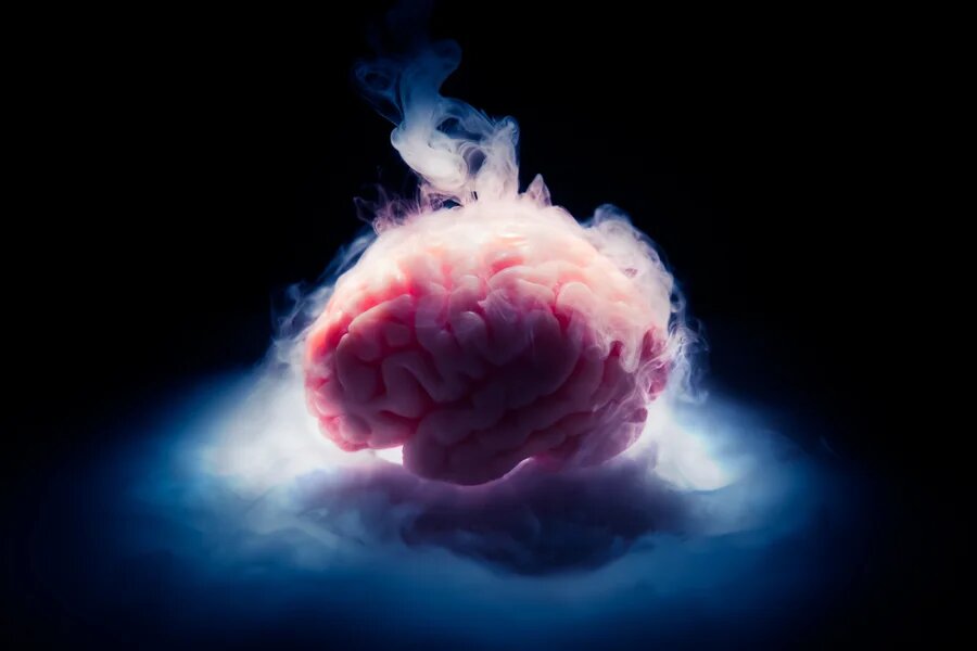 brain