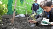 آموزش همگانی در حوزه محیط زیست | مناطق، پرچمداران محیط زیست می شوند