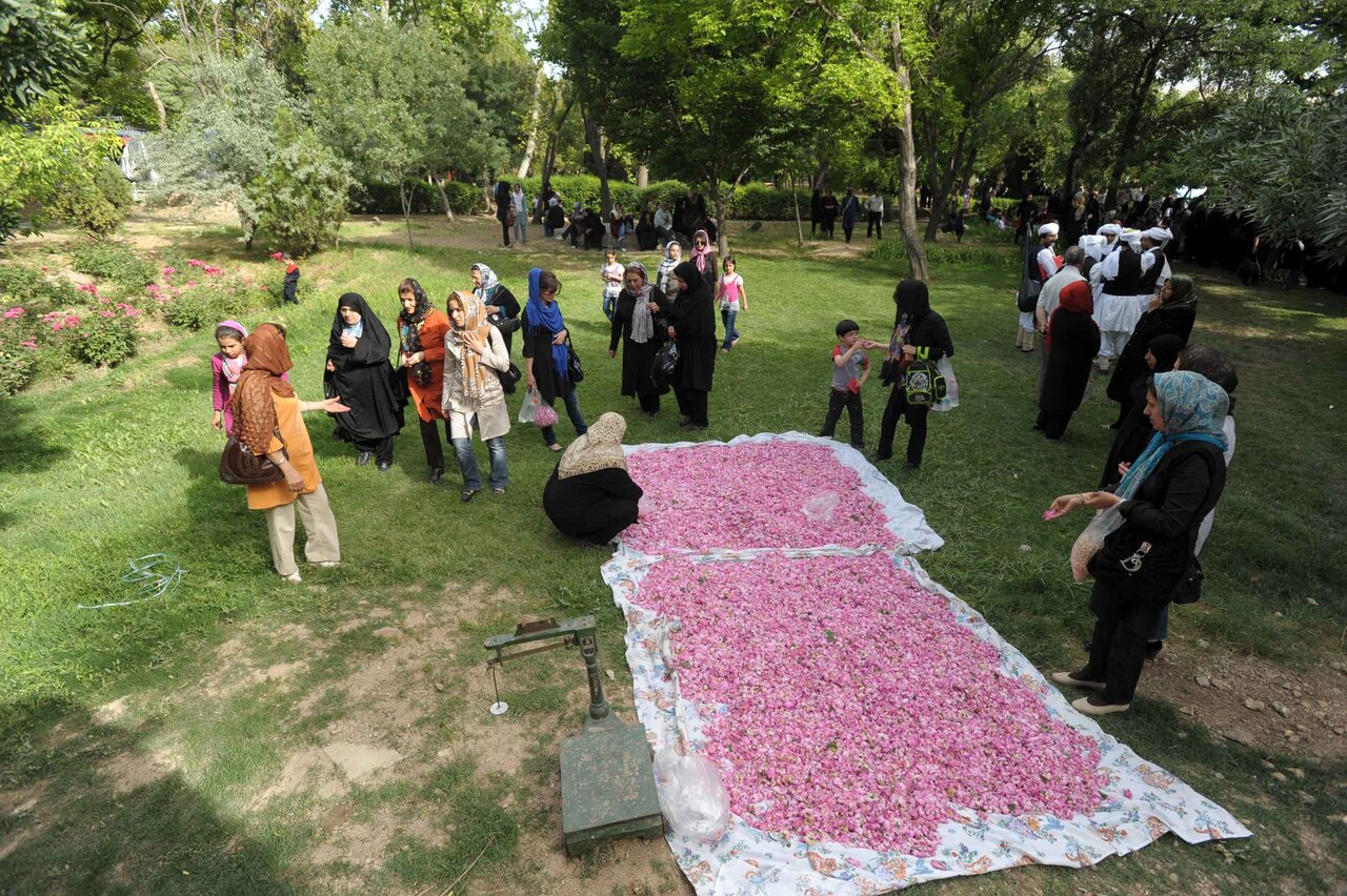 فرهنگسراها