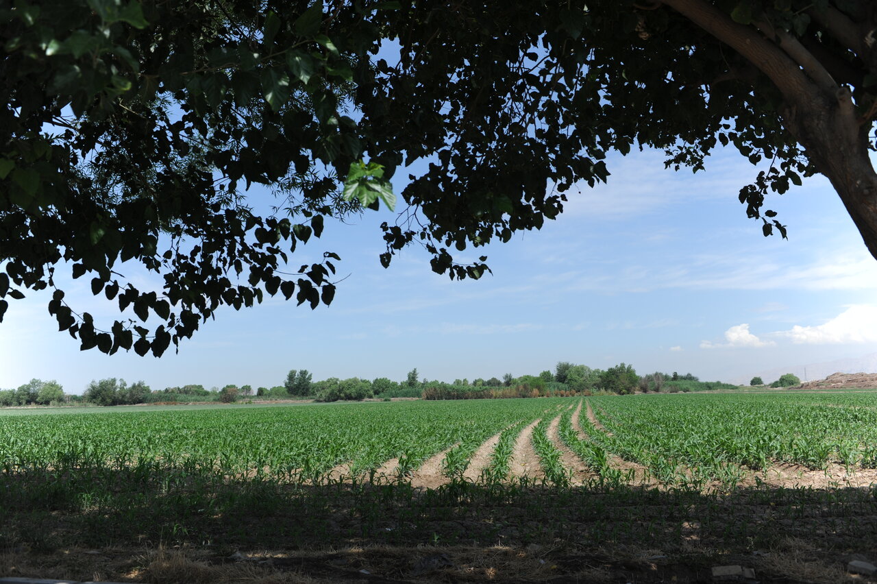 تعهد حاج اسماعیل فلاح در قناتداری | قنات طالبآباد هنوز زنده است