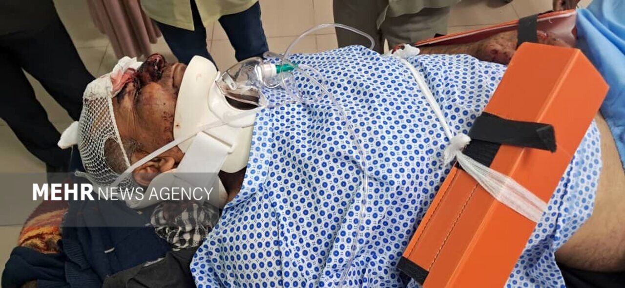 پلنگ وحشی مرد فریدونشهری را از کوه پرت کرد | عکس