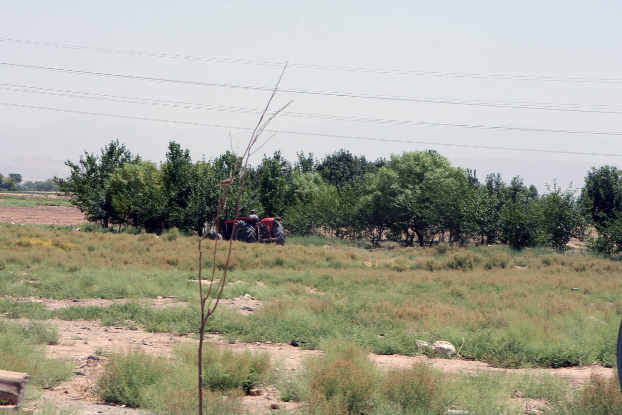 قناتهای شرق ری مستعد پرآبیاند