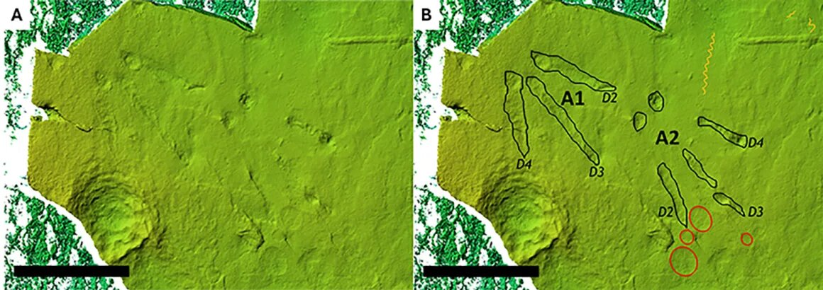 نخستین گامهای زندگی در ۵۰ میلیون سال پیش