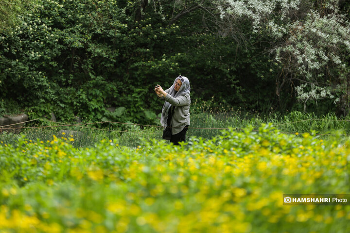 طبیعت زیبای بهار در باغ گیاه شناسی ملی ایران
