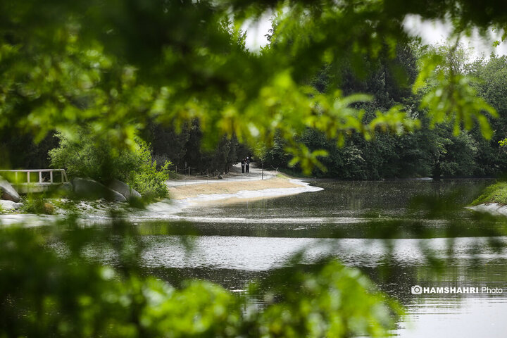 طبیعت زیبای بهار در باغ گیاه شناسی ملی ایران