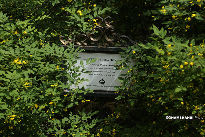 طبیعت زیبای بهار در باغ گیاه شناسی ملی ایران