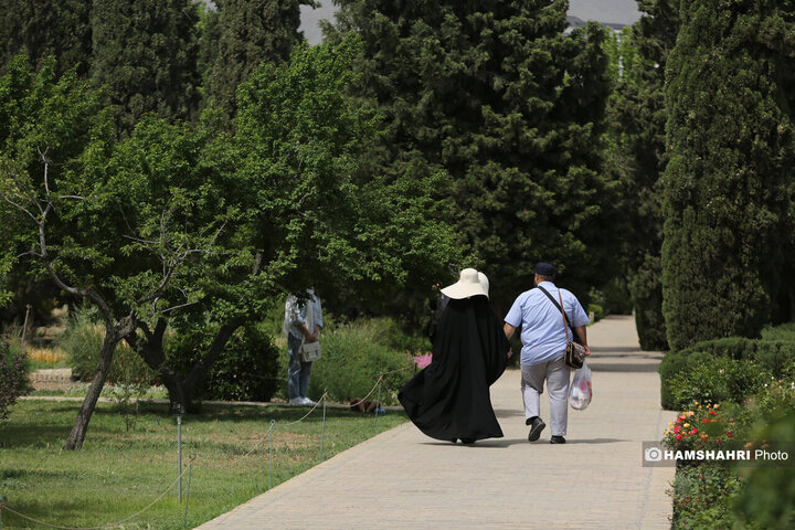 طبیعت زیبای بهار در باغ گیاه شناسی ملی ایران